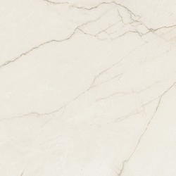 ARCADIA STONE SILVER POLISHED MATT RECT 59,8X59,8 G1