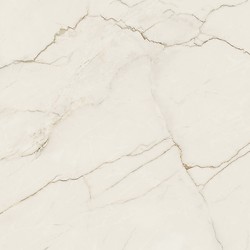 ARCADIA STONE SILVER POLISHED MATT RECT 59,8X59,8 G1