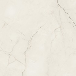 ARCADIA STONE SILVER POLISHED MATT RECT 59,8X59,8 G1