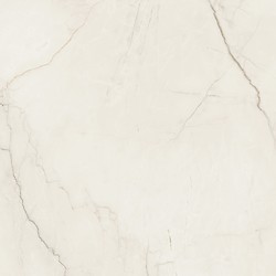 ARCADIA STONE SILVER POLISHED MATT RECT 59,8X59,8 G1