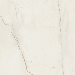 ARCADIA STONE SILVER POLISHED MATT RECT 59,8X59,8 G1