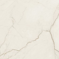 ARCADIA STONE SILVER POLISHED MATT RECT 59,8X59,8 G1