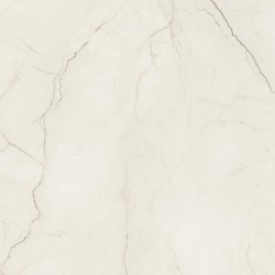 ARCADIA STONE SILVER POLISHED MATT RECT 59,8X59,8 G1