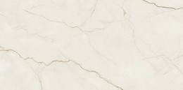 ARCADIA STONE SILVER POLISHED MATT RECT 59,8X119,8 G1