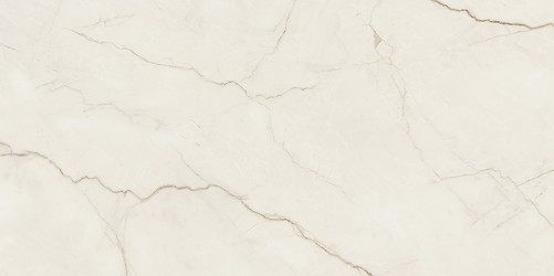 ARCADIA STONE SILVER POLISHED MATT RECT 59,8X119,8 G1