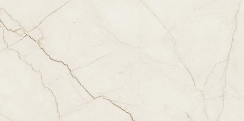 ARCADIA STONE SILVER POLISHED MATT RECT 59,8X119,8 G1