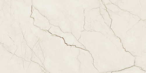 ARCADIA STONE SILVER POLISHED MATT RECT 59,8X119,8 G1