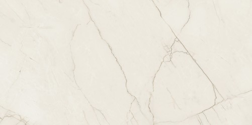 ARCADIA STONE SILVER POLISHED MATT RECT 59,8X119,8 G1