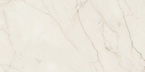 ARCADIA STONE SILVER POLISHED MATT RECT 59,8X119,8 G1