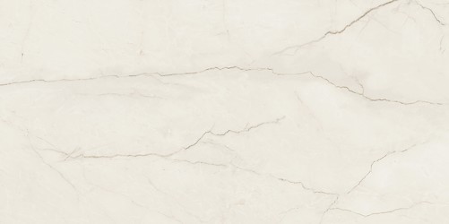 ARCADIA STONE SILVER POLISHED MATT RECT 59,8X119,8 G1