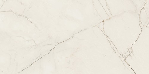 ARCADIA STONE SILVER POLISHED MATT RECT 59,8X119,8 G1