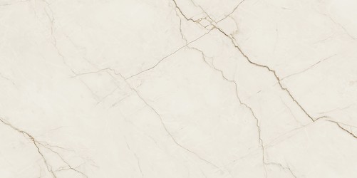 ARCADIA STONE SILVER POLISHED MATT RECT 59,8X119,8 G1