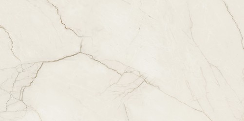 ARCADIA STONE SILVER POLISHED MATT RECT 59,8X119,8 G1