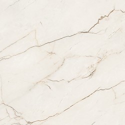 ARCADIA STONE WHITE MATT RECT 59,8X59,8 G1