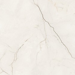 ARCADIA STONE WHITE MATT RECT 59,8X59,8 G1