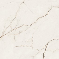 ARCADIA STONE WHITE MATT RECT 59,8X59,8 G1