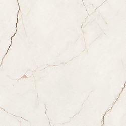 ARCADIA STONE WHITE MATT RECT 59,8X59,8 G1
