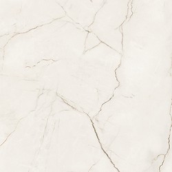 ARCADIA STONE WHITE MATT RECT 59,8X59,8 G1