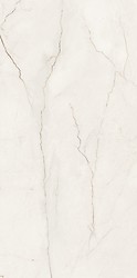 ARCADIA STONE WHITE MATT RECT 59,8X119,8 G1