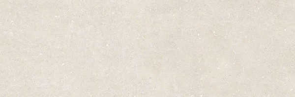 VINCENTARI LIGHT GREY MATT RECT 39,8X119,8 G1
