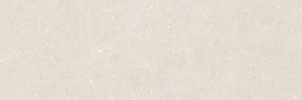 VINCENTARI LIGHT GREY MATT RECT 39,8X119,8 G1