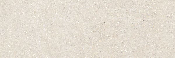VINCENTARI LIGHT GREY MATT RECT 39,8X119,8 G1
