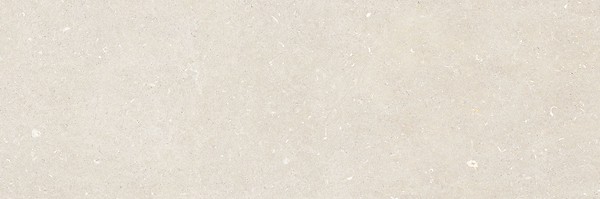 VINCENTARI LIGHT GREY MATT RECT 39,8X119,8 G1