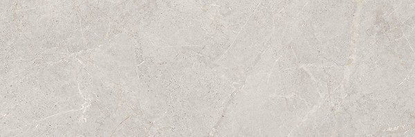 LUNAVERA GREY MATT RECT 39,8X119,8 G1