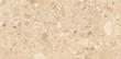 TERRAZZO STONE WARM BEIGE MATT 29,8X59,8 G1
