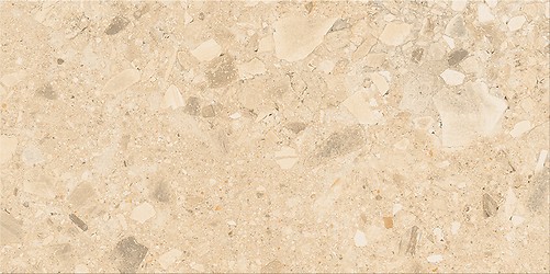 TERRAZZO STONE WARM BEIGE MATT 29,8X59,8 G1