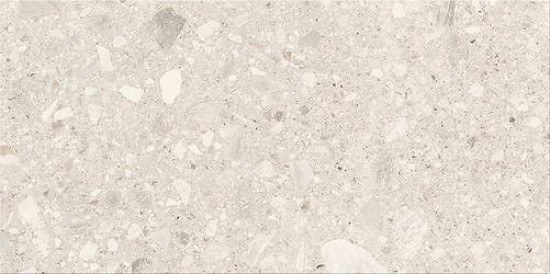 TERRAZZO STONE WHITE MATT 29,8X59,8 G1